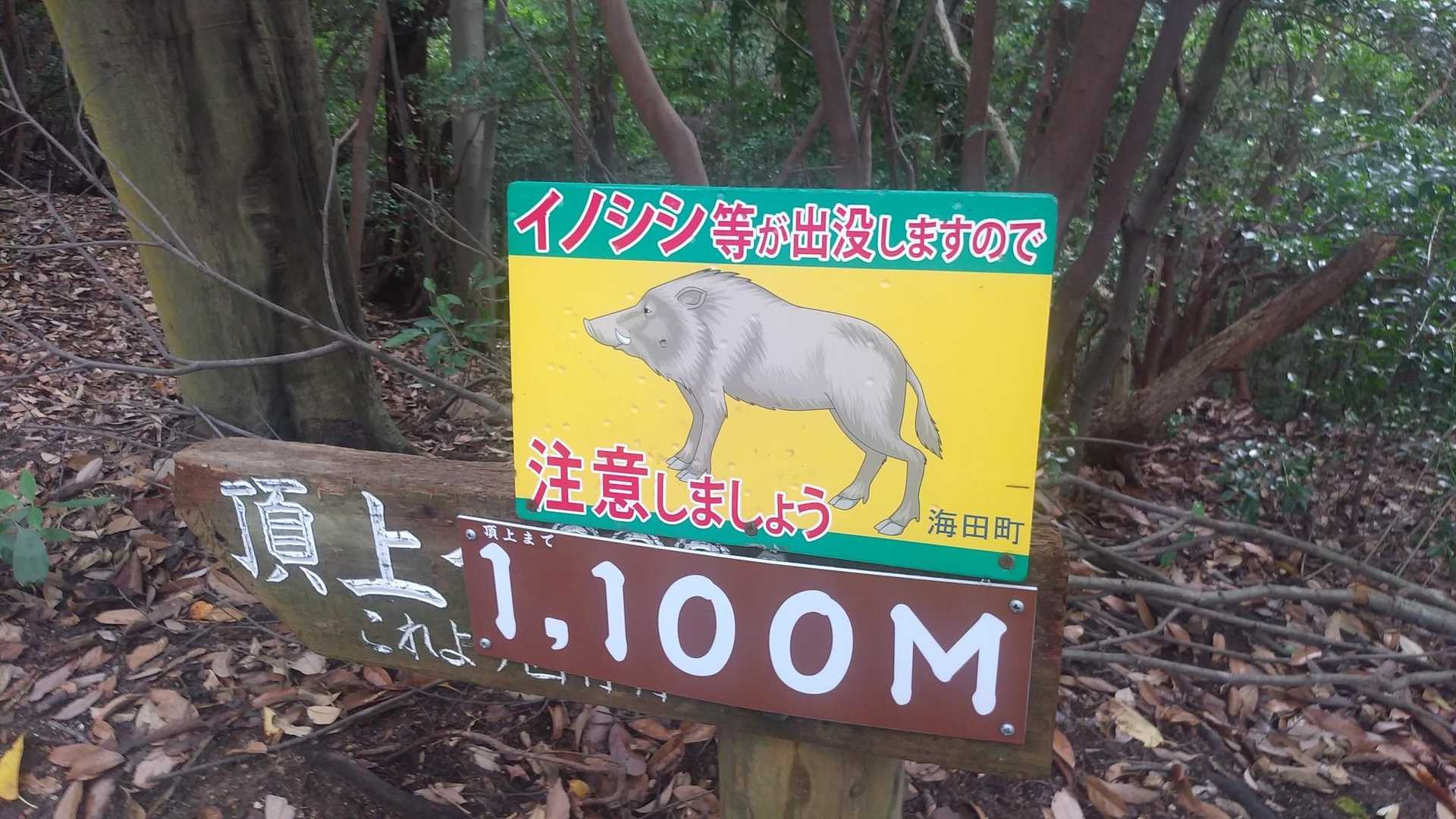 前に遭遇したから(^^;)リアルに怖い(^^;)(^^;)要注意(^^;)