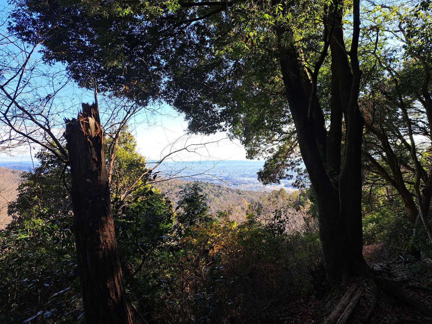 お参りの方々で山の中は、いつもより賑やかでした！