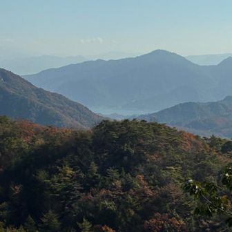 あの向こうは宮島大鳥居⁉️