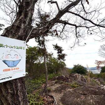 着きましたご飯山