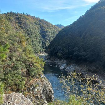 さんしょううお