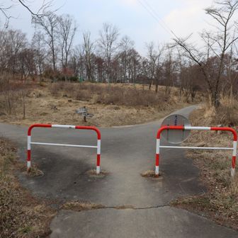 長峰山への分岐…久しく行っていません🥴