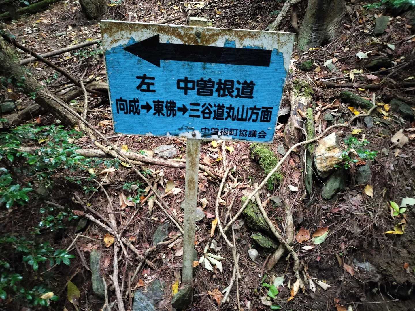 中曽根道があるみたい。