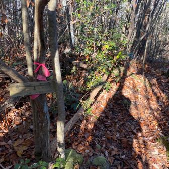 帰りは政畝バス停方面へ