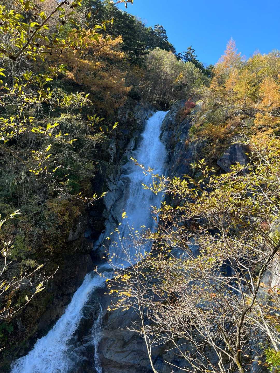 青木鉱泉バス停-地蔵岳 往復コースの写真