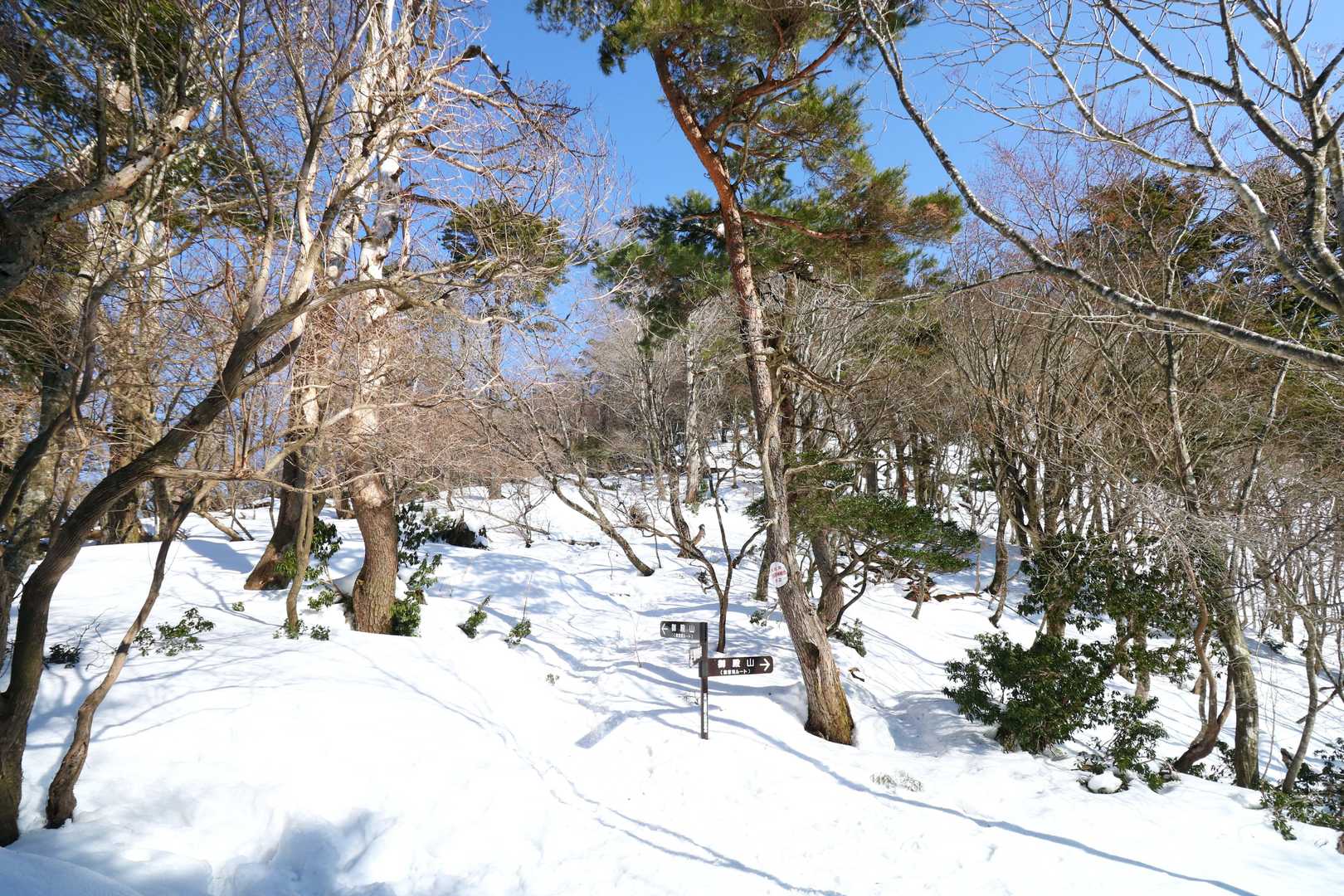 夏道と冬道の分岐。