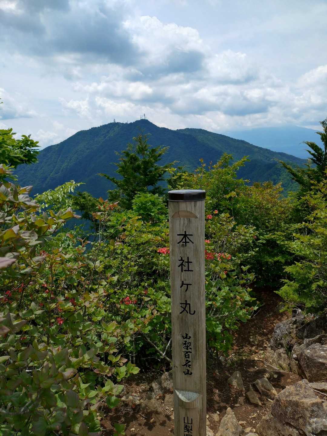 捻挫で縦走断念！庭洞山・角研山・石切山・本社ヶ丸・清八山 / tomcat