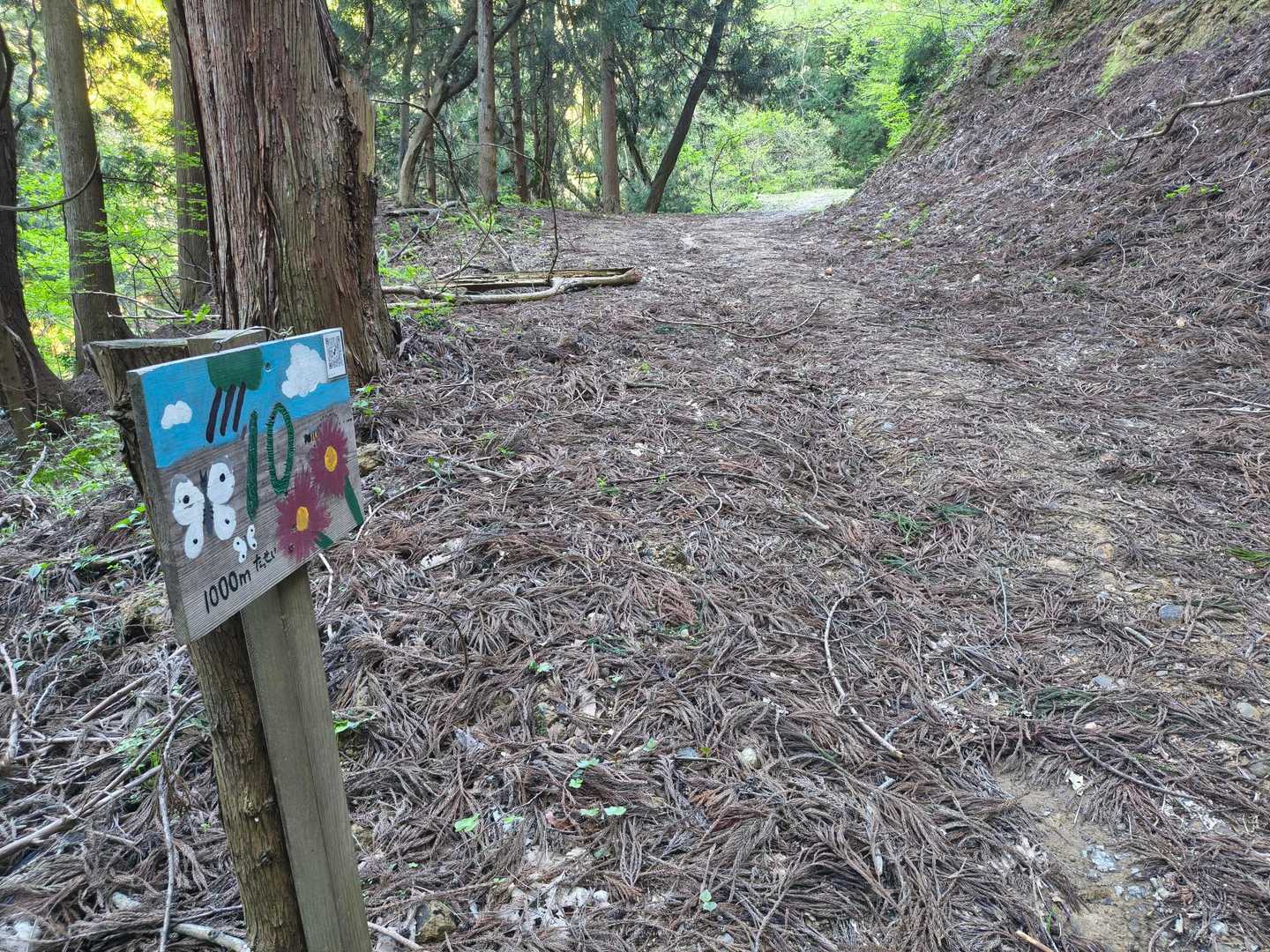 城山 往復コースの写真
