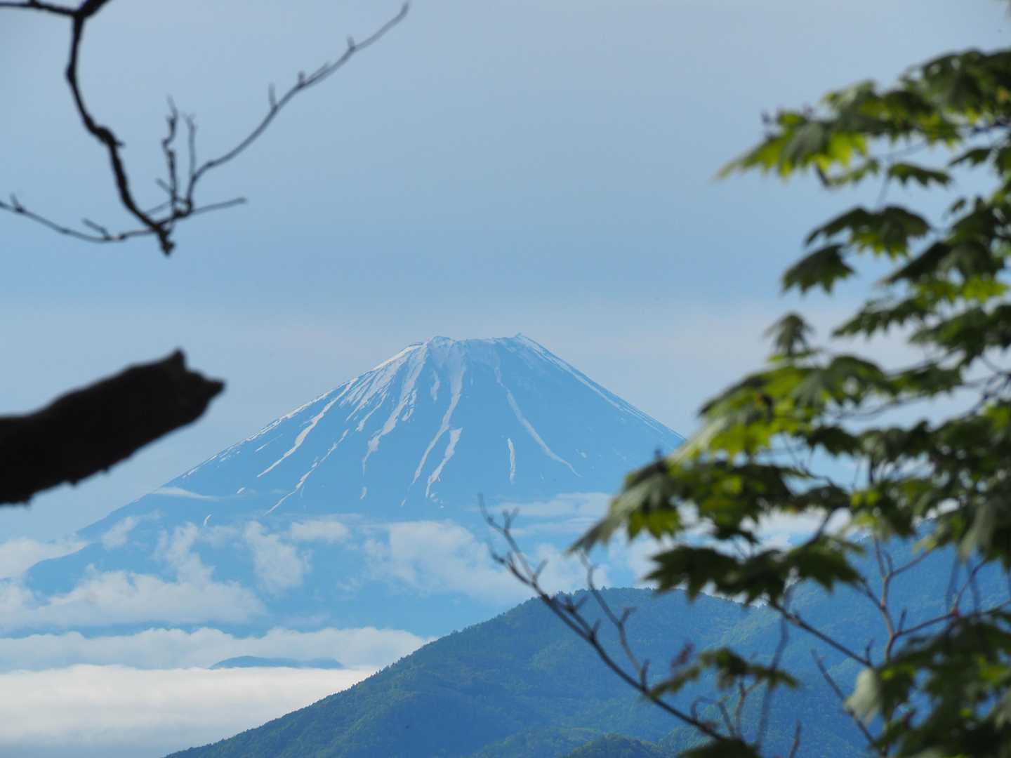 本日も逢えましたね😍