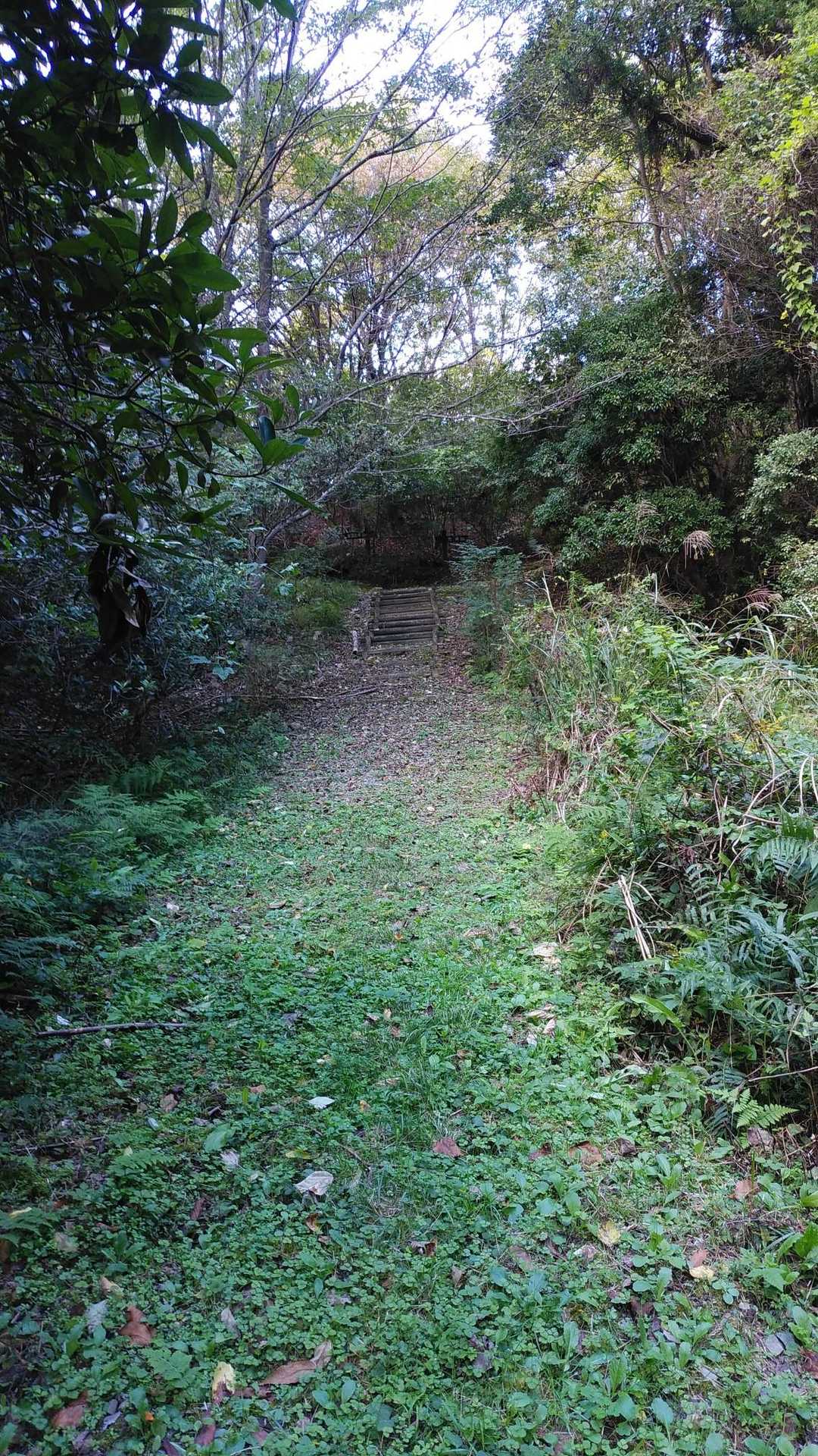 作業道