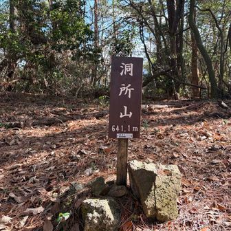 6⃣洞所山山頂⛰️