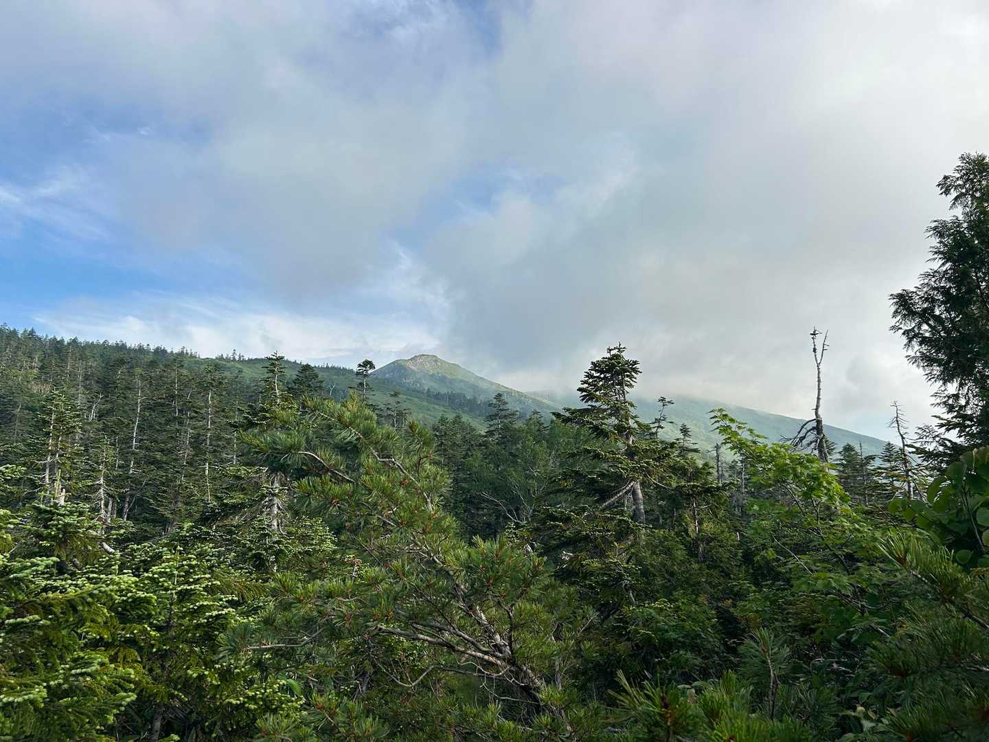 鳩待峠-至仏山 往復コースの写真