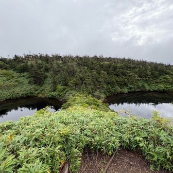 めがね沼