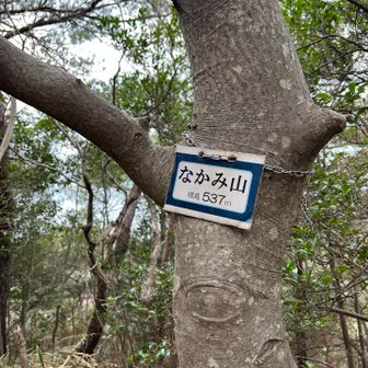 直ぐ近くになかみ山🔼