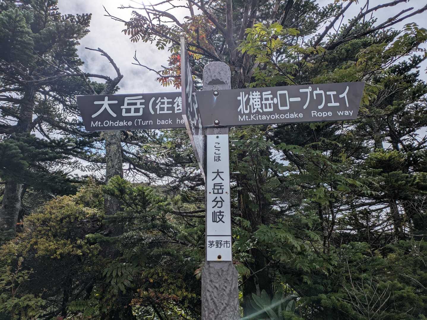 やっと大岳分岐に到着〜
この時点でバテバテ😆