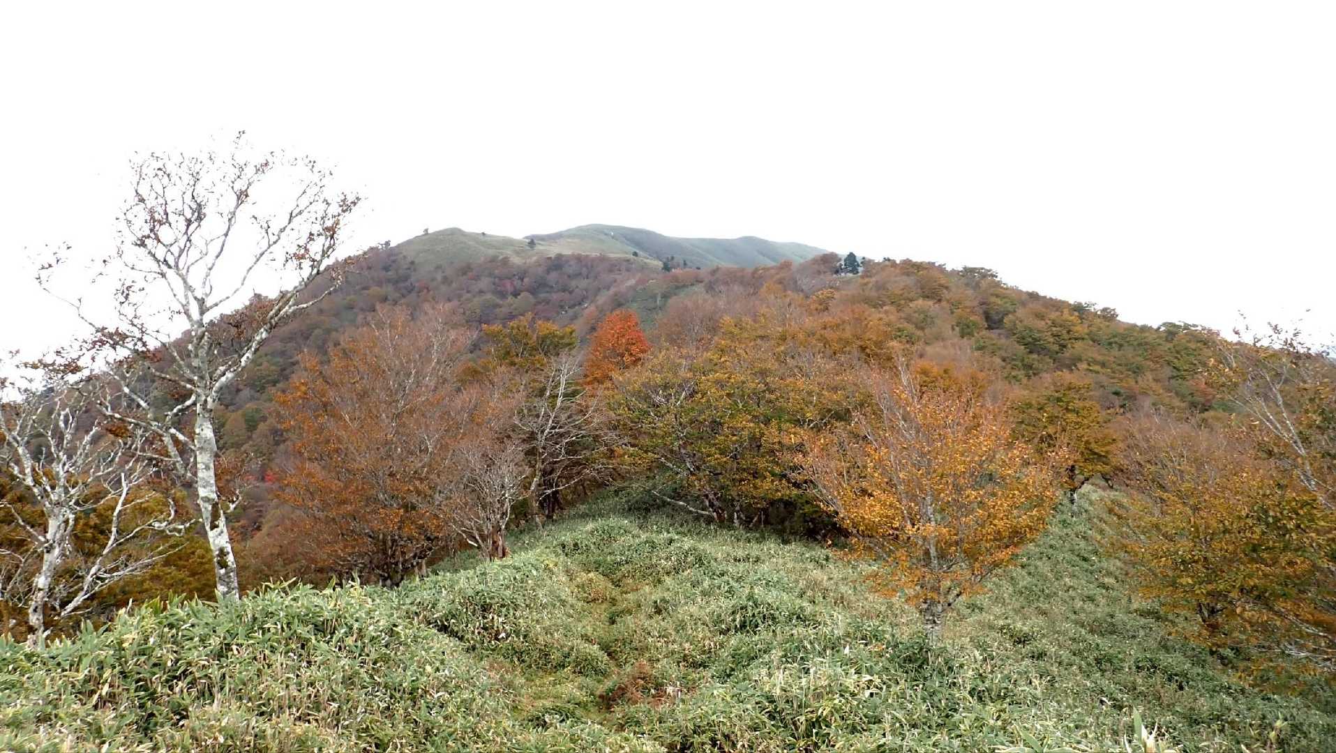 大きい山はやっパリ🇫🇷中々見えてから近づきませんが