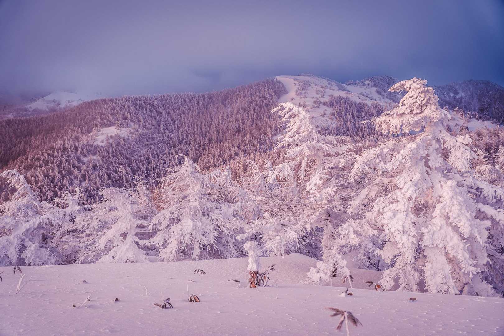 南沢山登山道入口-南沢山 往復コースの写真