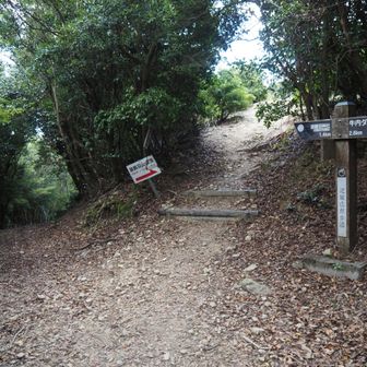 山頂ですね。