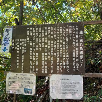 ここでアクシデント
同行の方は渡る予定だったのですが、時間を勘違いしており、船は15分前に出たところでした…
