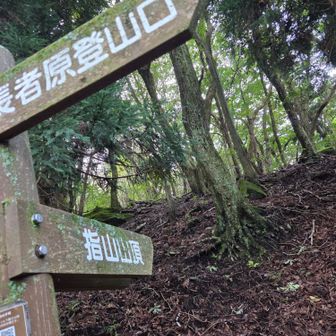 ここから本番かな😅
