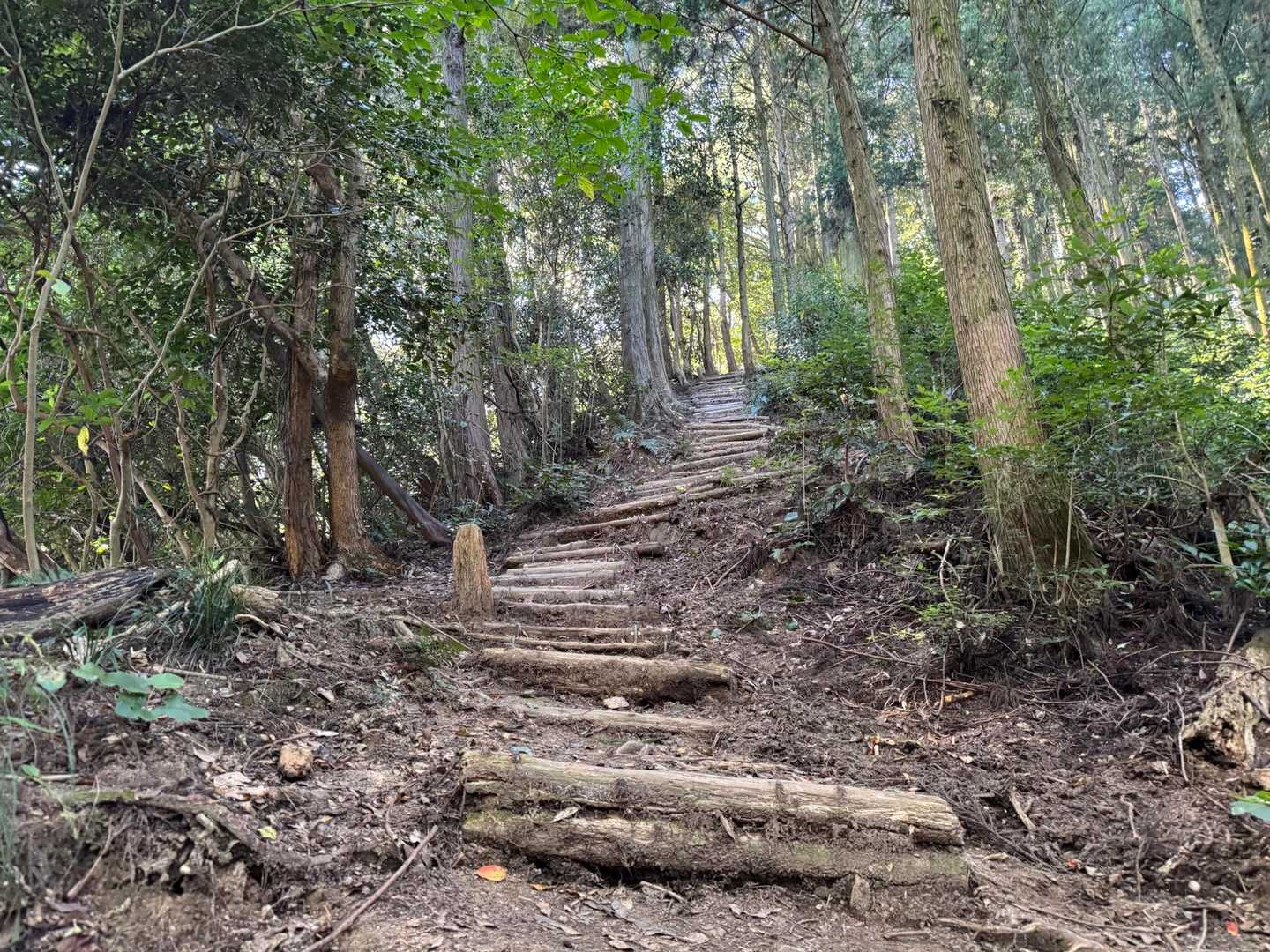 天拝山 | 天神さまが祈りを捧げた山頂へ。下山後は名湯・二日市温泉への写真