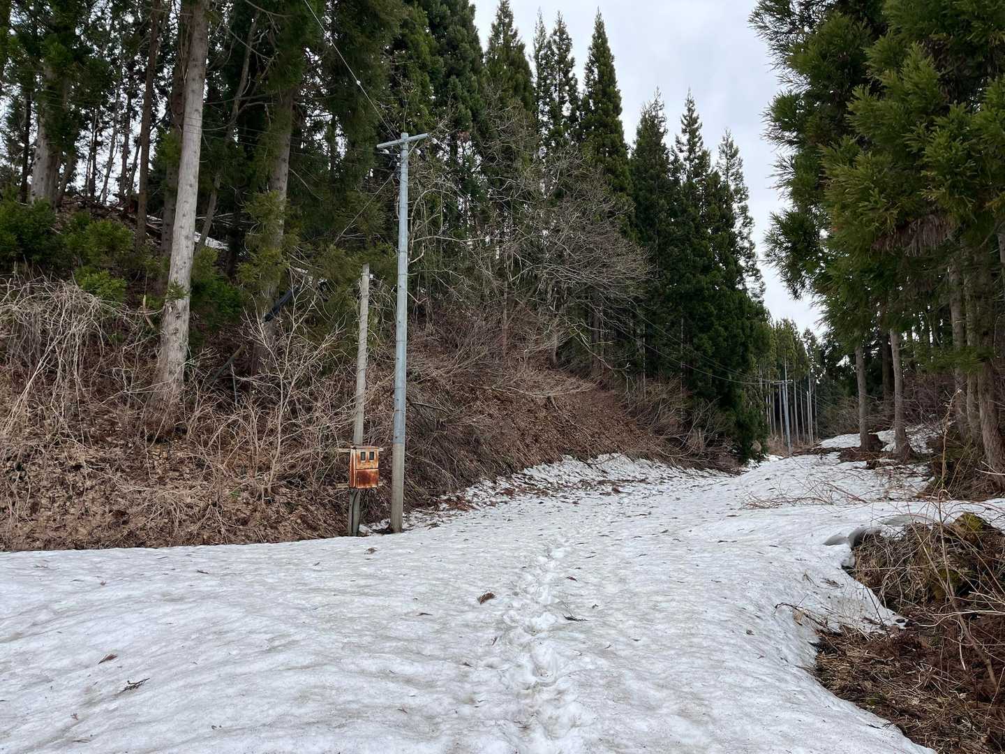 林道の一部にはまだ雪が結構あります。