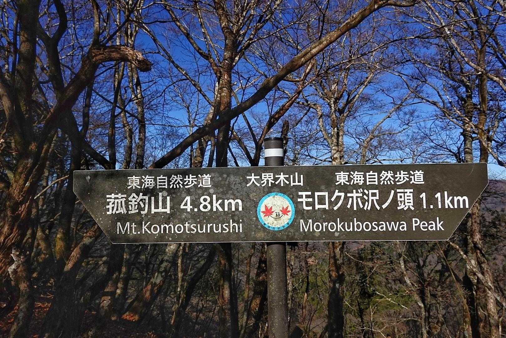 大界木山△

丹沢から繋がってるんだな〜というこの東海自然歩道の道標。