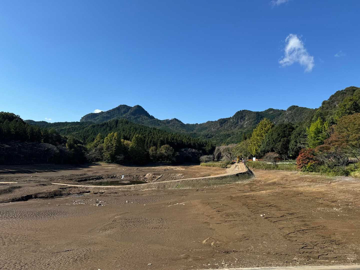長倉山-鞍掛山-シゲト山-猪倉峠 周回コースの写真