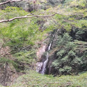 雌滝。水量が少ない