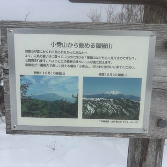 一つ前写真、☀️良ければこう見えてたのに残念😢