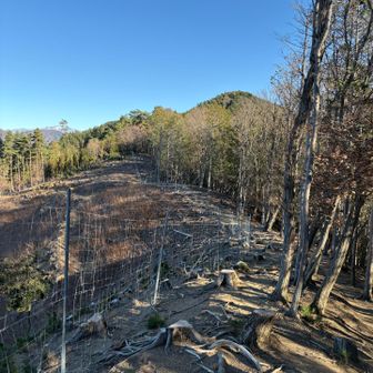 スッキリしています。