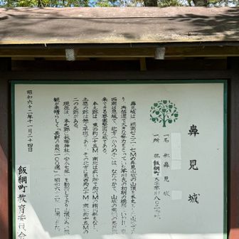 芋川氏は奥信濃で強大な力を持ってたんだね💪