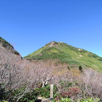 ナデッ窪と長英新道との合流点です。ここは８合目！
俎嵓（まないたぐら）が見えた！