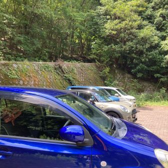 🅿️帰ってきたら、車いっぱい、でもどなたにも合わなかったので、この前行った美女山〜阿波竜王方面かな？