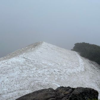 鞍部へは壁にようになった雪が。