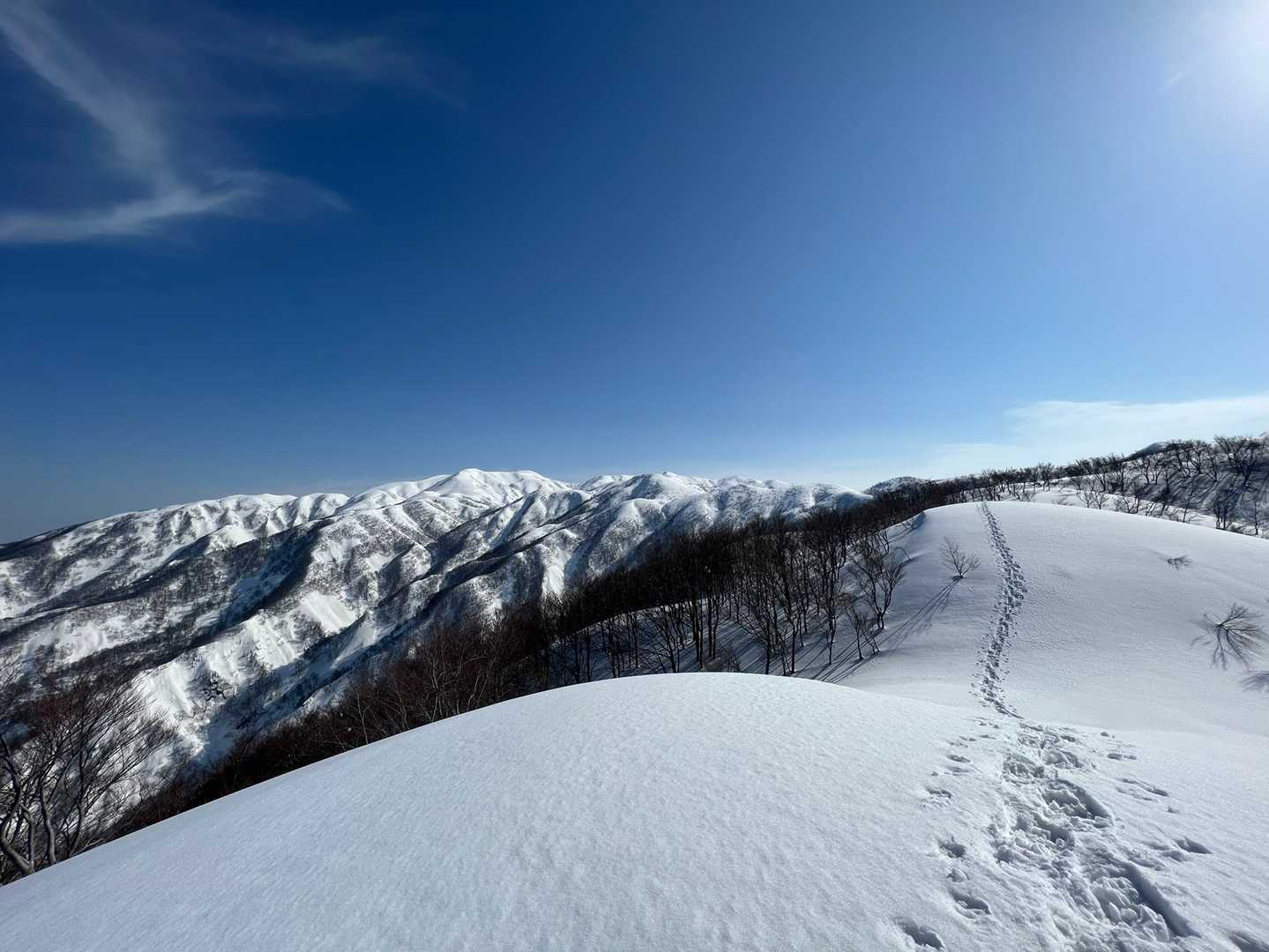 ニノジまでは果てしなく遠いが、何だか元気になる。