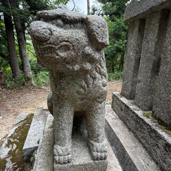 吽行も雌雄の区別無し