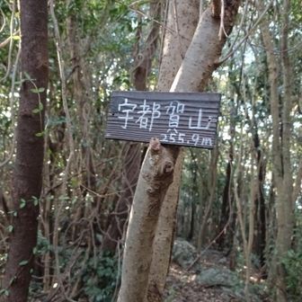 山名は宇都賀山です。