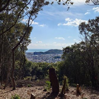 こちらも展望あり