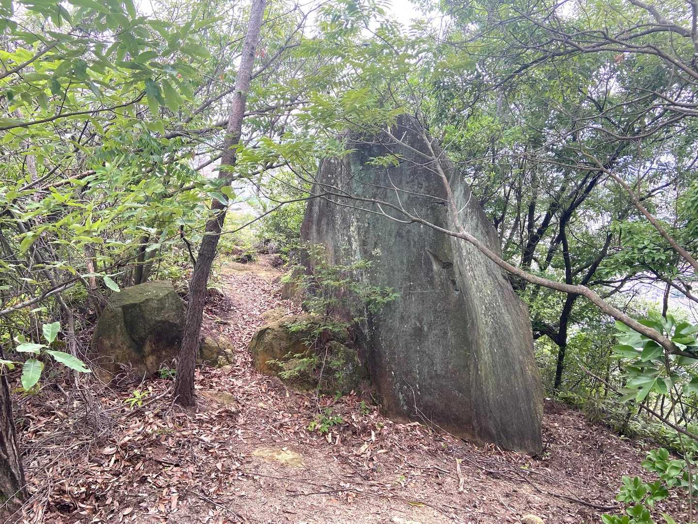 山根口登山口-尾長山-牛田山-神田山 縦走コースの写真