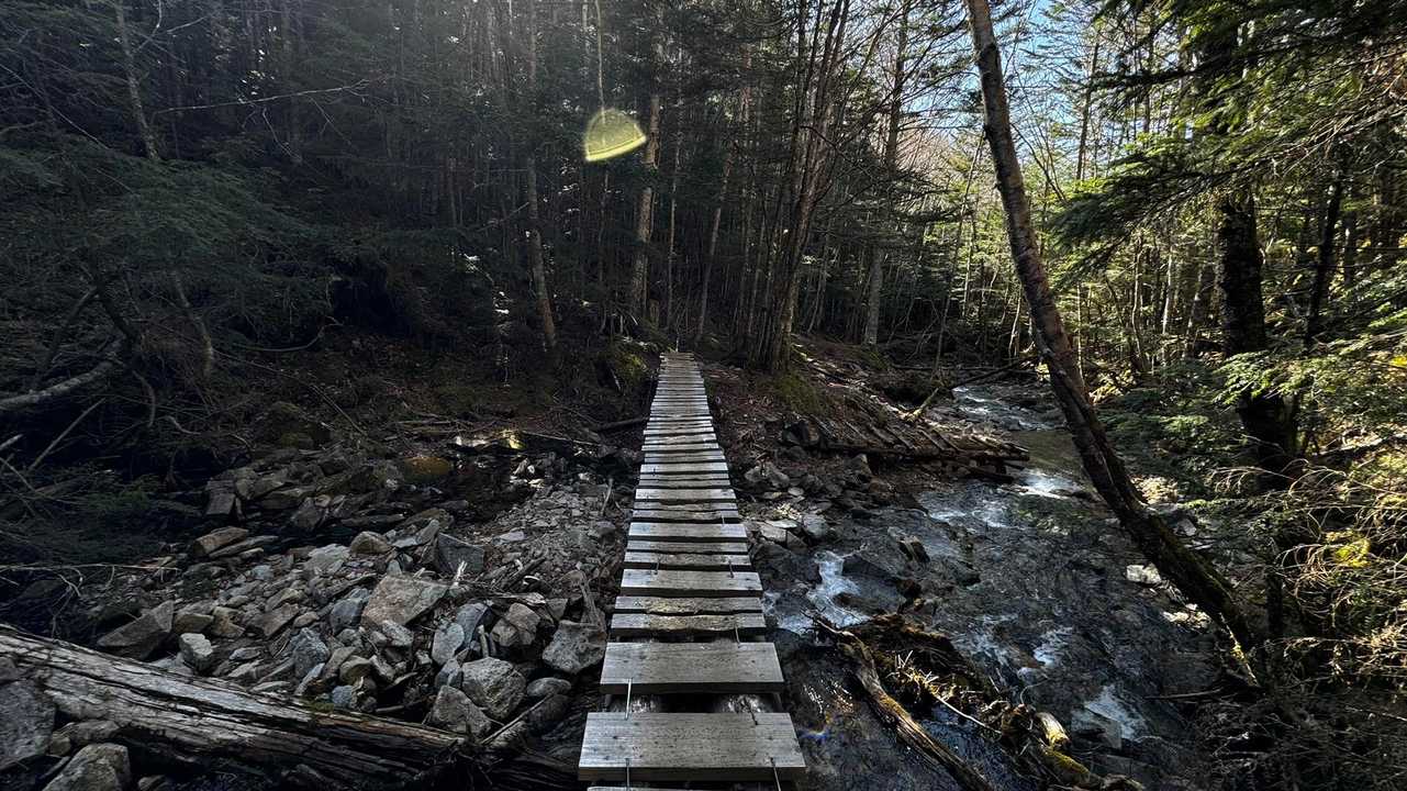 三宝山・甲武信ヶ岳縦走 の写真 35