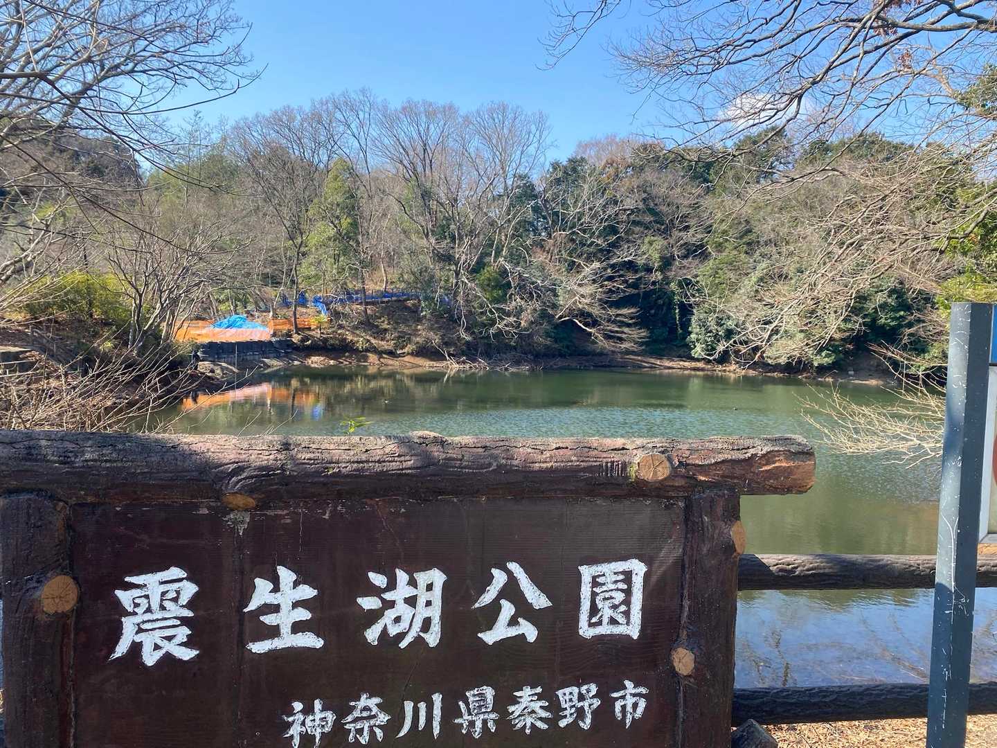 釣り人来ていた
ブラックバス狙いらしい

🦆も数種類😍いた〜！