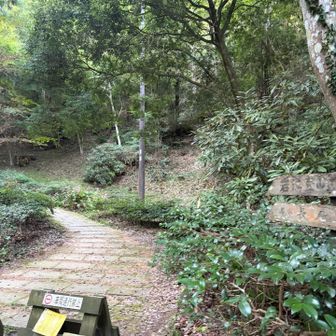 きゅうざかの道・いわわきの道の登山口スタート▶️
