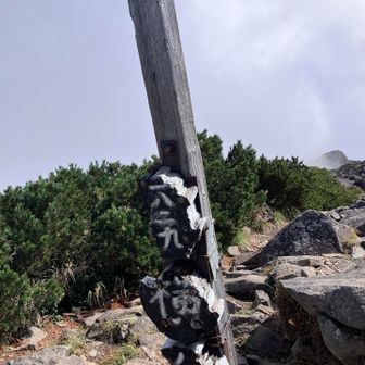 そのまま横岳に登って、帰宅します🚶