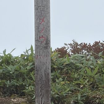 瑪瑙山　登頂🙌