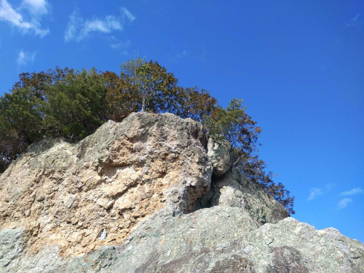 ゴリラ岩