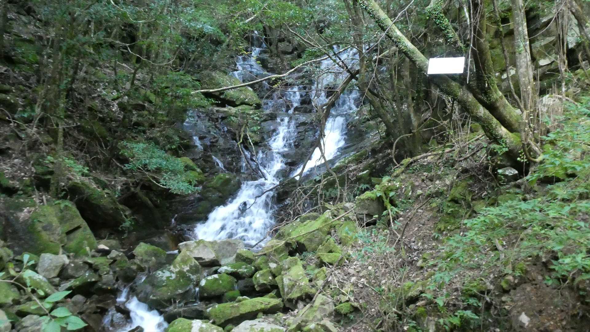 いこいの滝