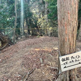 ここは飯能アルプスだよ〜
という看板