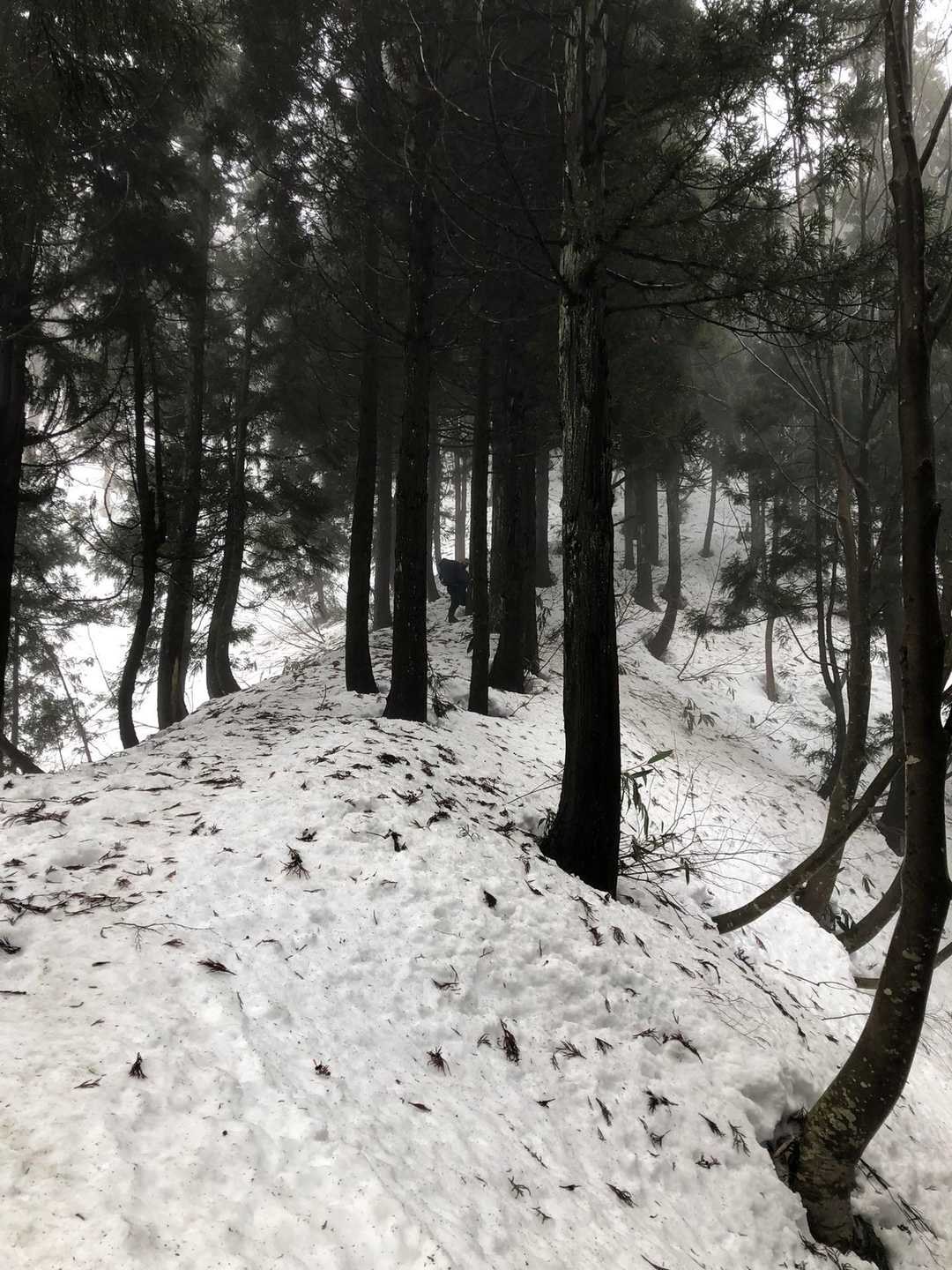 ETを担いで、山登る〜♪😬