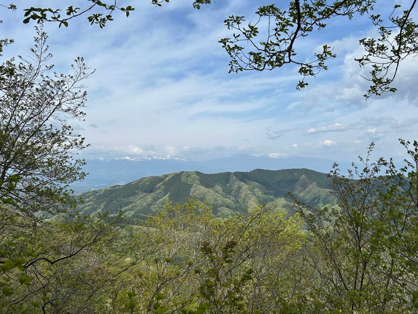 口太山 往復コースの写真